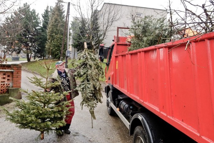 Ilustračný obrázok k článku Chcete sa zbaviť vianočného stromčeka? Plán ich odvozov v Považskej Bystrici