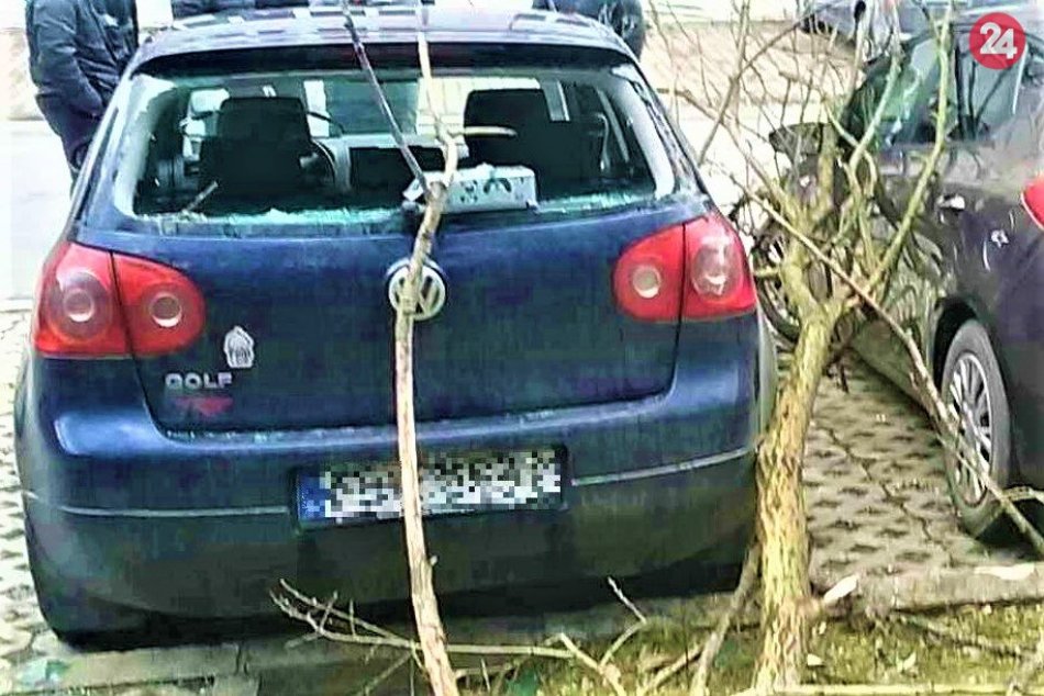 FOTO: Spadnuté stromy na autá v Považskej Bystrici